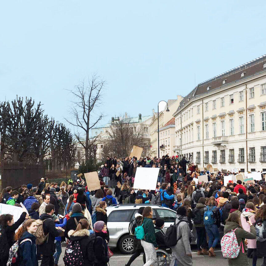 Fridays for future Demo in Wien 2019